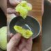 Pão de Queijo Vegano