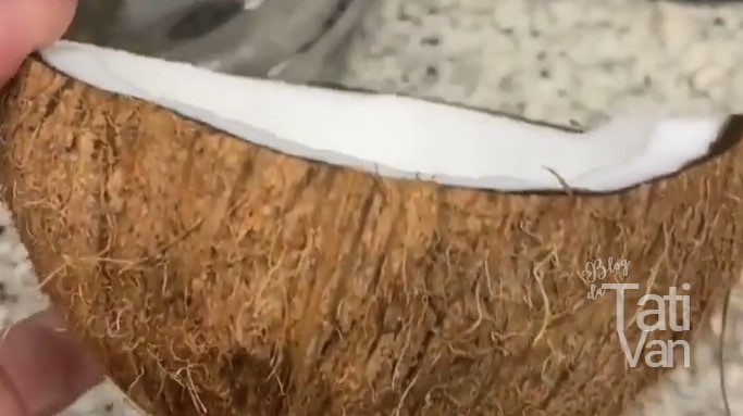 leite de coco em casa