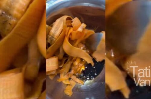 Receita de Salada de Cenoura Crua Simples, Saudável e Deliciosa - Tati Van